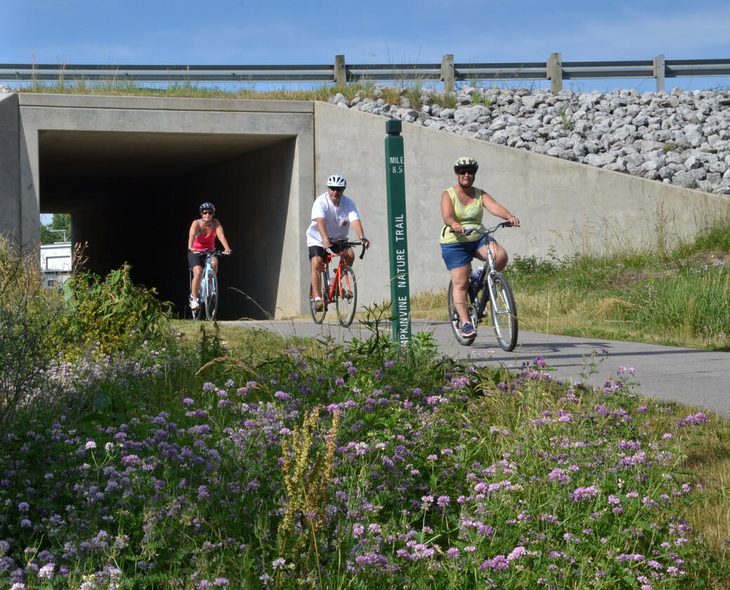 Pumpkinvine Trail - Middlebury tunnel Pumpkinvine Trail - Middlebury tunnel